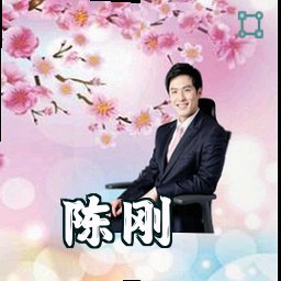 陈刚